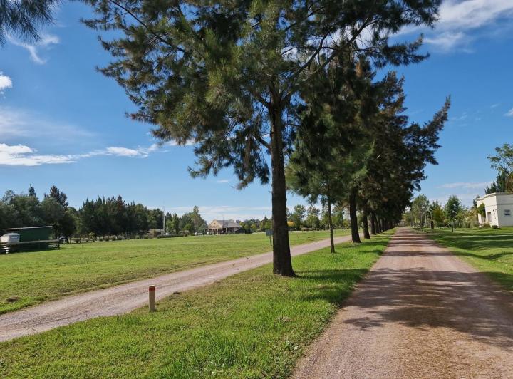 Terreno · 1079m²