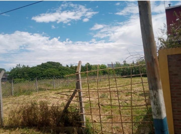 Terreno