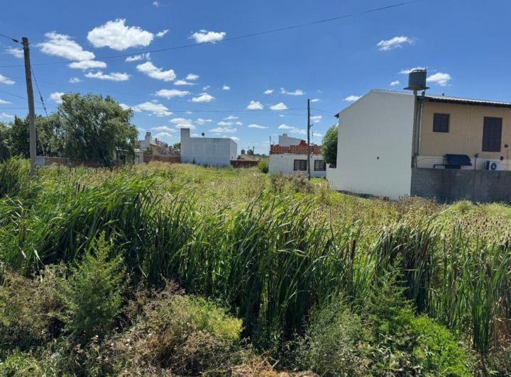 Terreno · 217m²