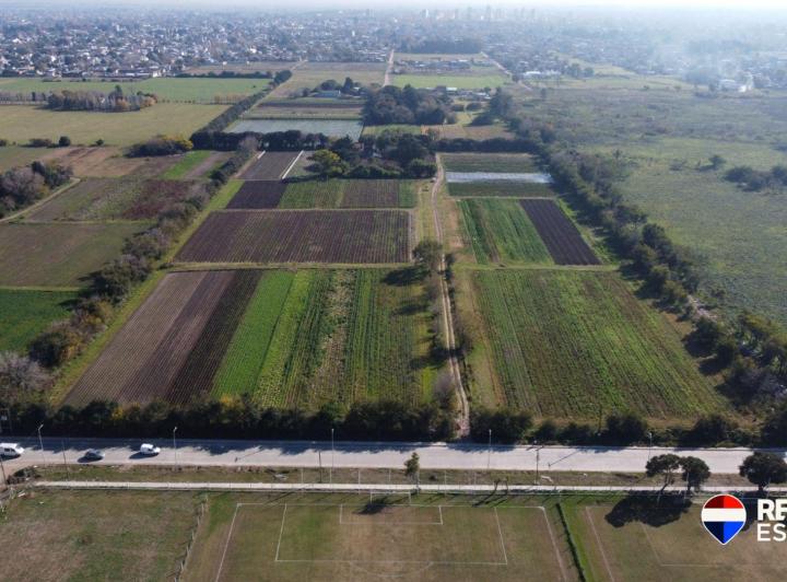 Terreno · 60000m²