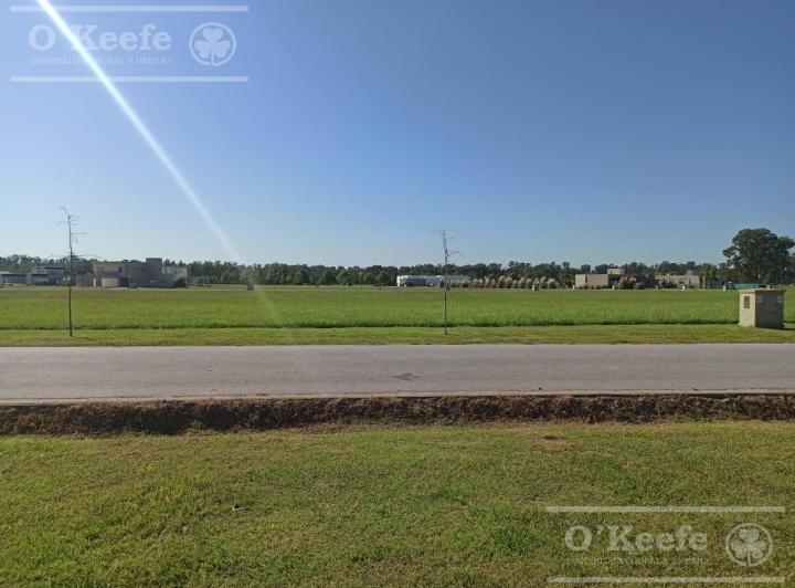 Terreno · 1500m²
