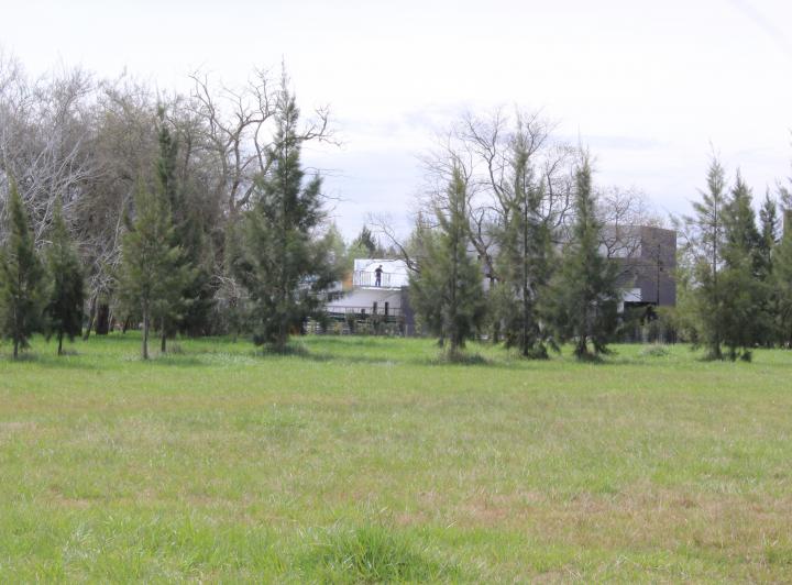 Terreno · 1000m²