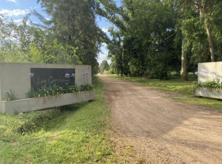 Terreno · 1000m²