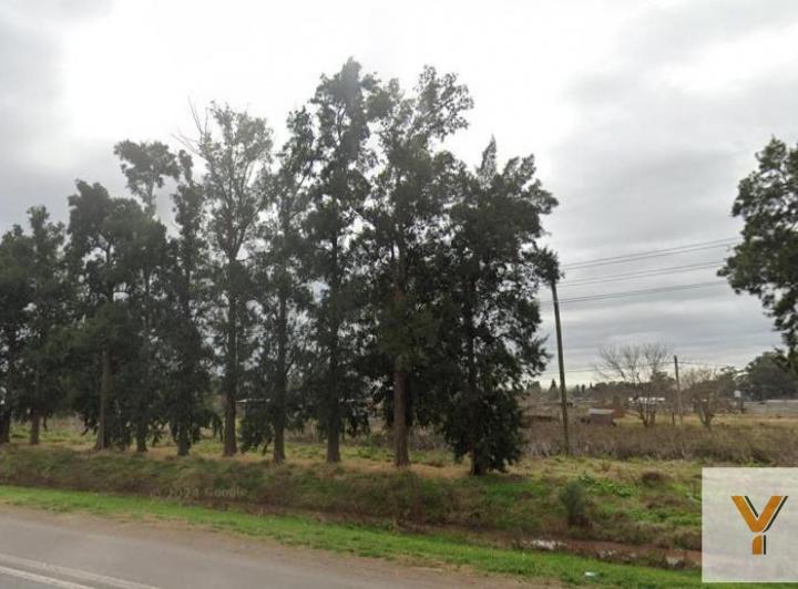 Terreno · 751m²