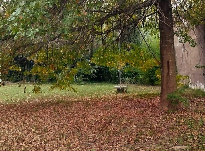Terreno · 320m²
