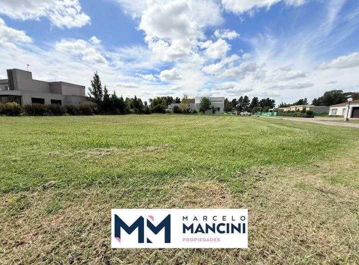 Terreno · 1235m²