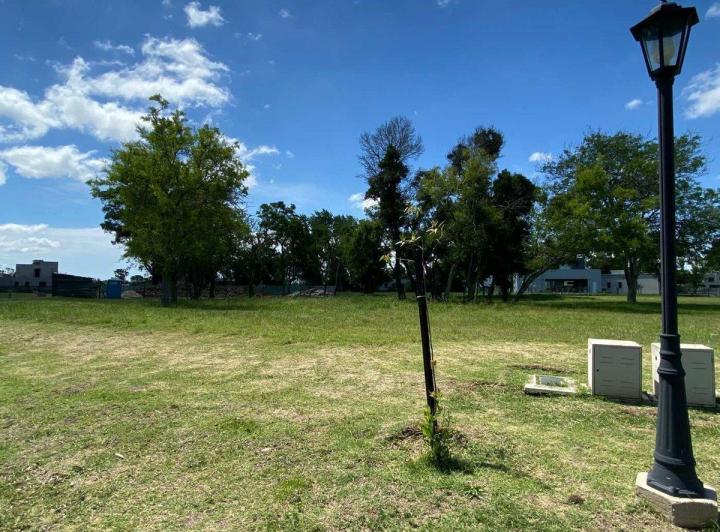 Terreno · 660m²
