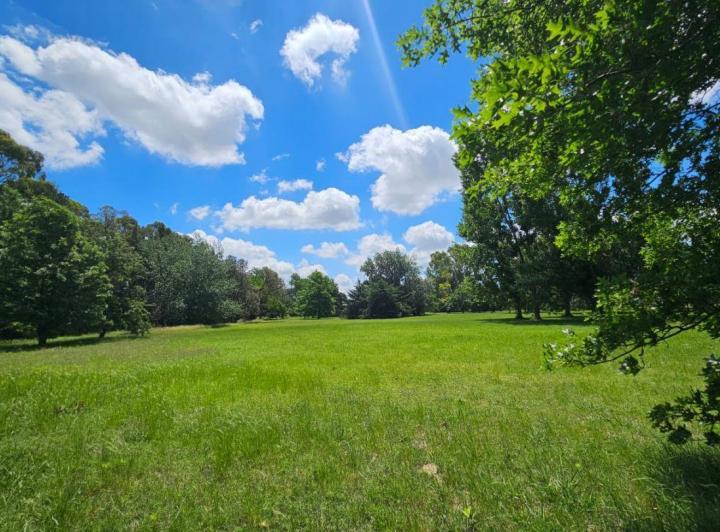 Terreno · 250m²
