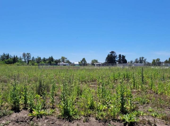 Terreno · 356m²