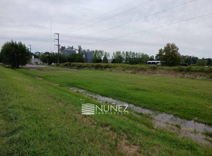 Terreno · 10000m²