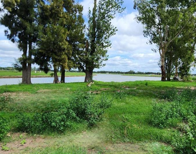 Terreno · 701m²