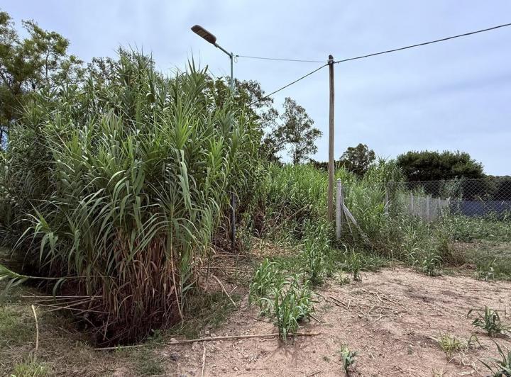 Terreno · 903m²
