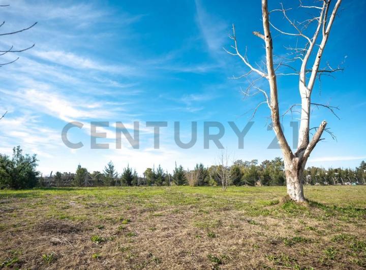 Terreno · 493m²