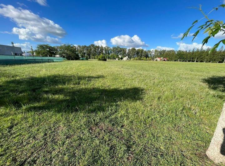 Terreno · 2065m²