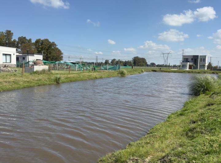 Terreno · 1000m²