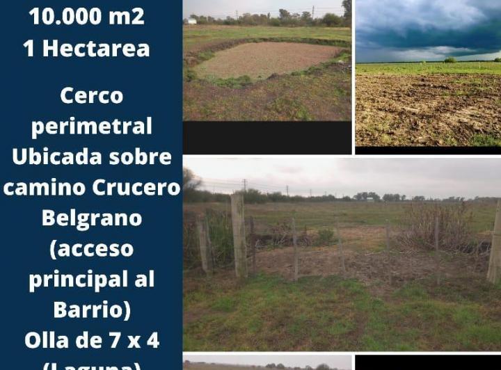 Terreno · 10000m²