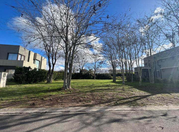 Terreno · 745m²