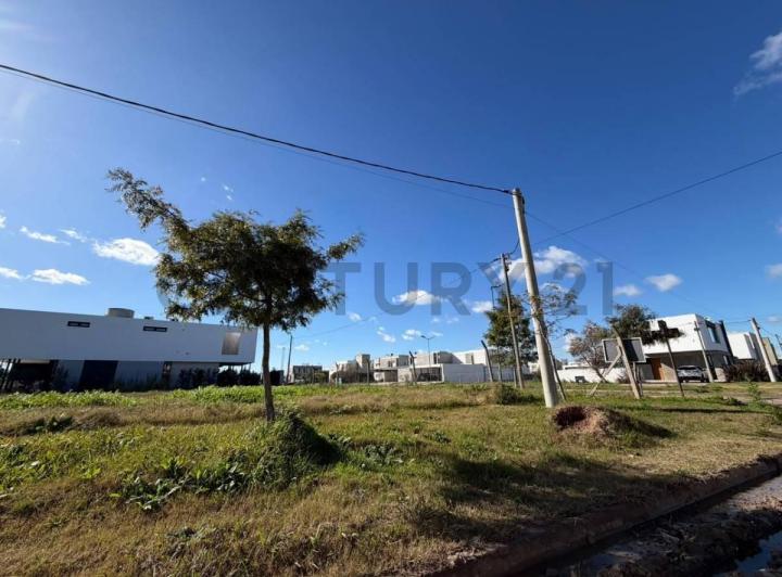 Terreno · 265m²