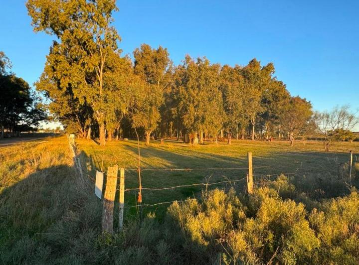 Terreno · 14169m²