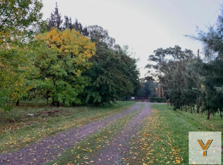Terreno · 920m²