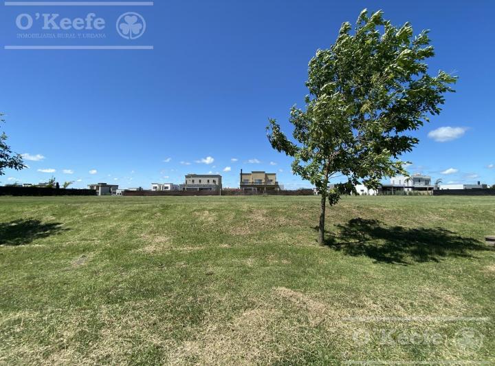 Terreno · 800m²