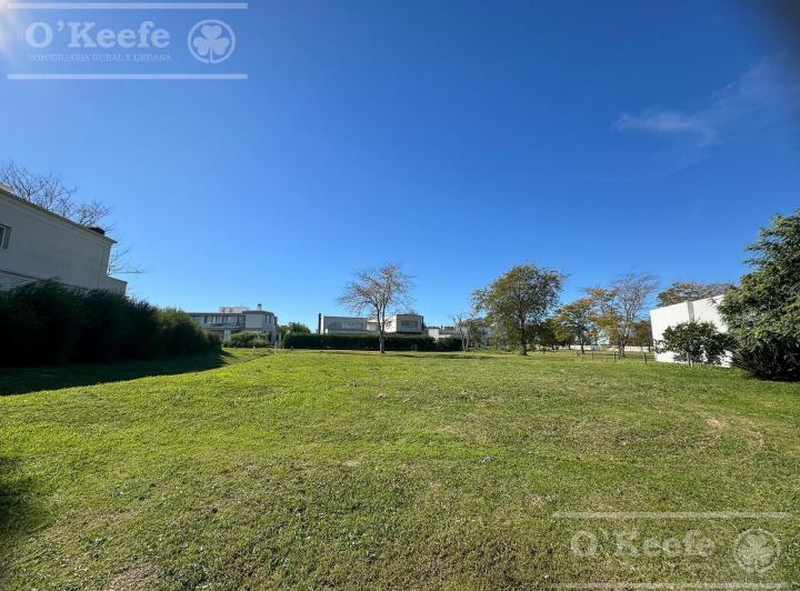 Terreno · 739m²