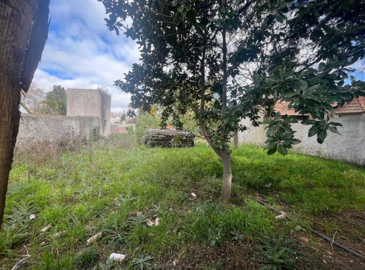 Terreno · 970m²