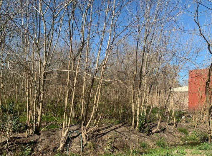 Terreno · 370m²