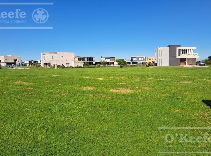 Terreno · 1011m²