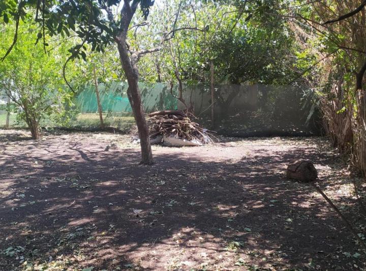 Terreno · 350m²