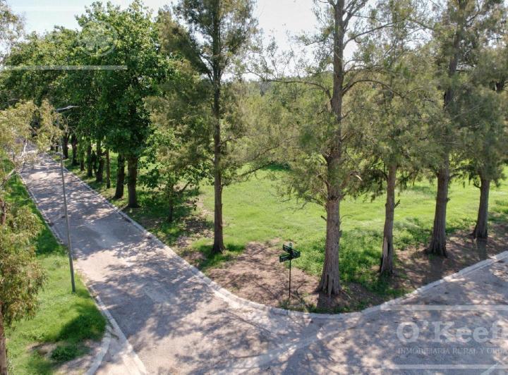 Terreno · 403m²