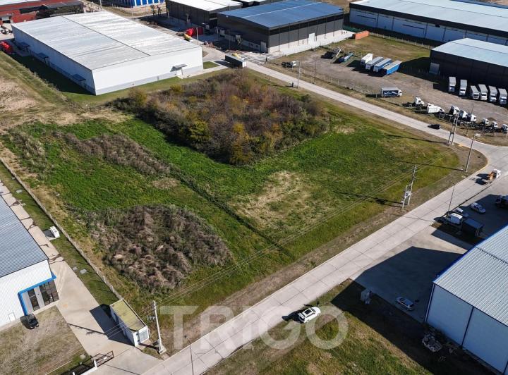 Terreno · 10000m²