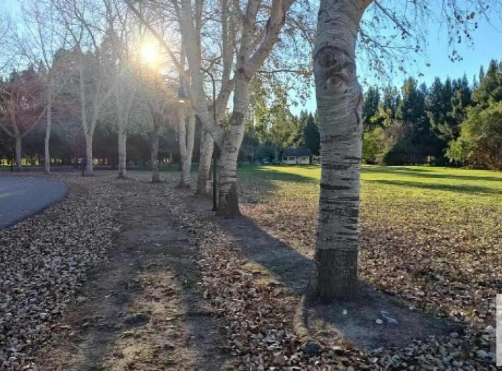 Terreno · 1000m²