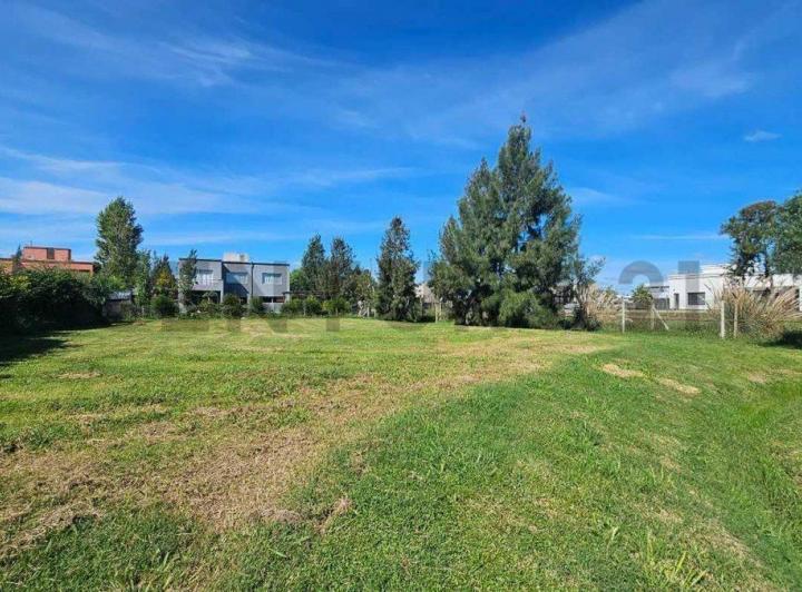 Terreno · 800m²