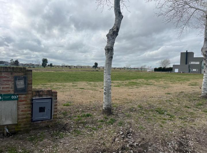 Terreno · 1000m²
