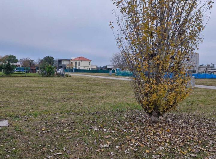 Terreno · 450m²