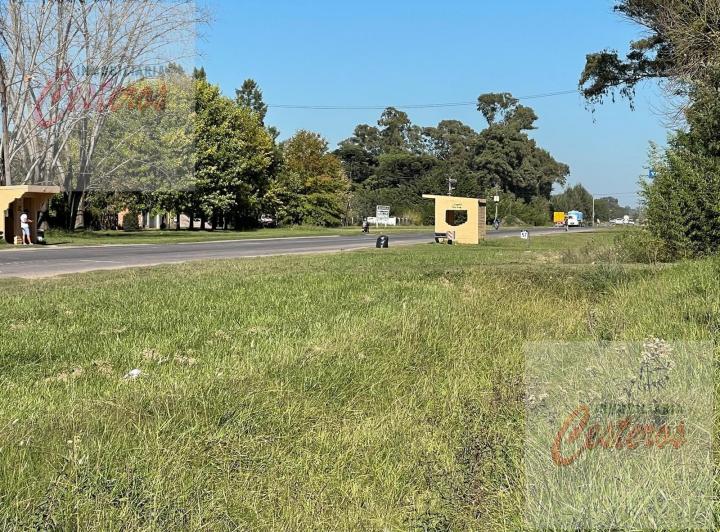Terreno · 1050m²