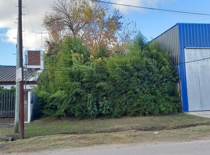 Terreno · 300m²