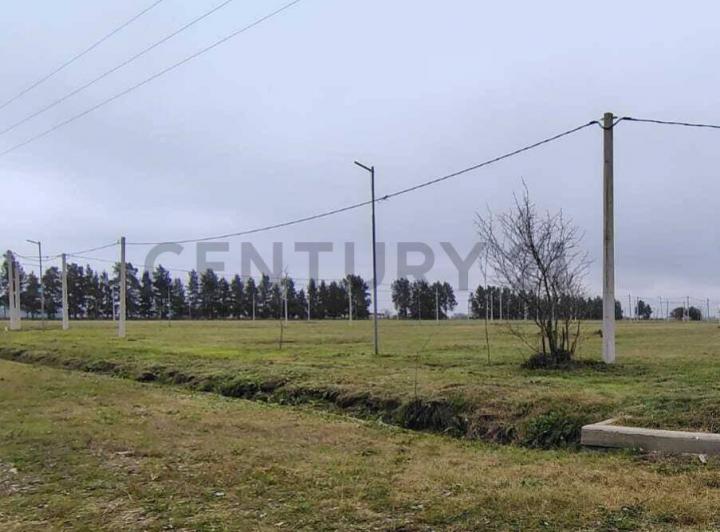 Terreno · 338m²