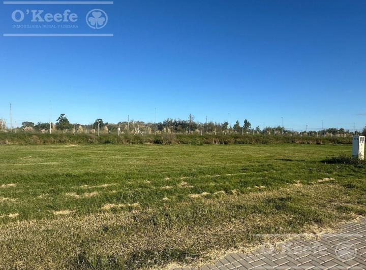 Terreno · 600m²