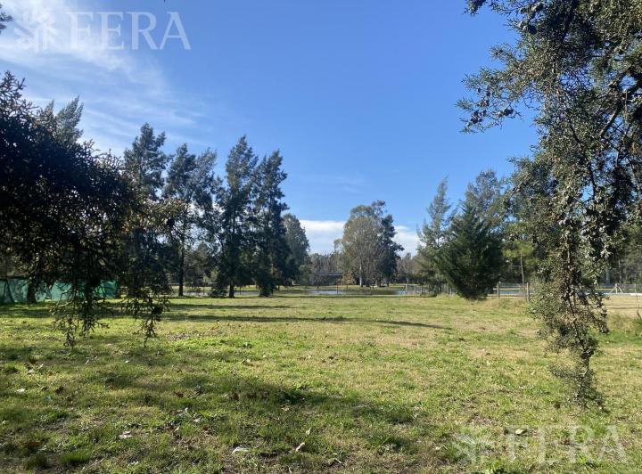 Terreno · 1639m²