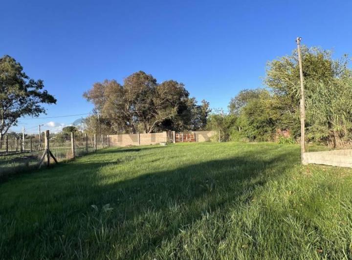 Terreno · 1000m²