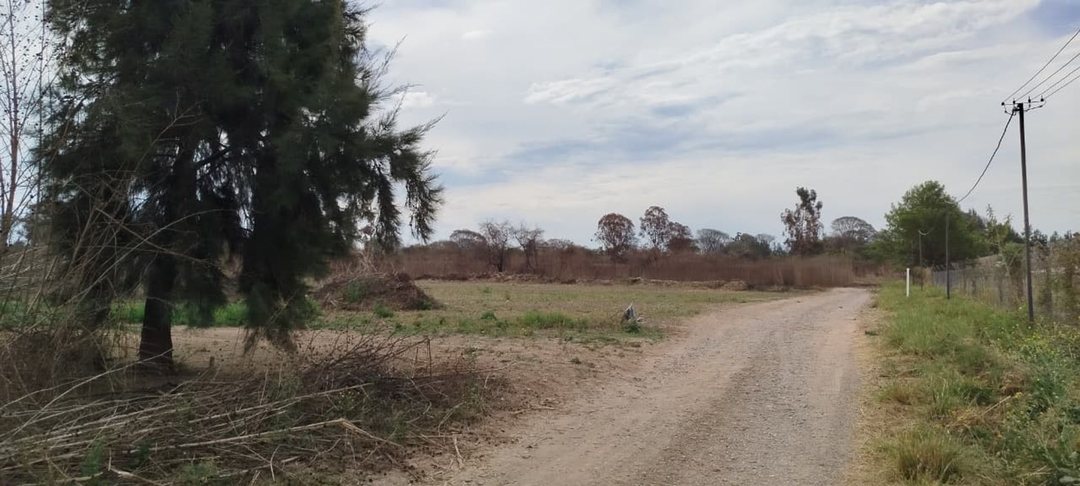 VENTA TERRENO 2250M2 EL CARMEN