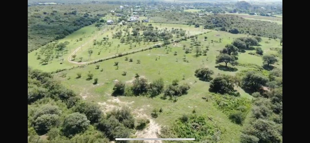 VENTA MACROLOTE 60.000 M2 VILLA DEL TOTORAL