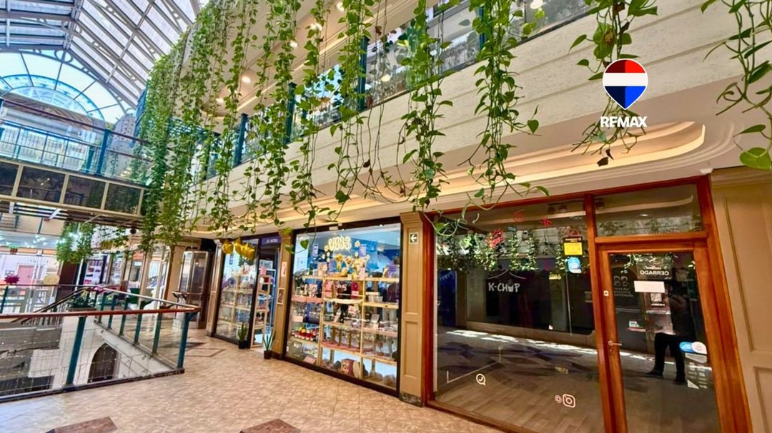 LOCAL COMERCIAL ALQUILER CENTRO PLANTA BAJA