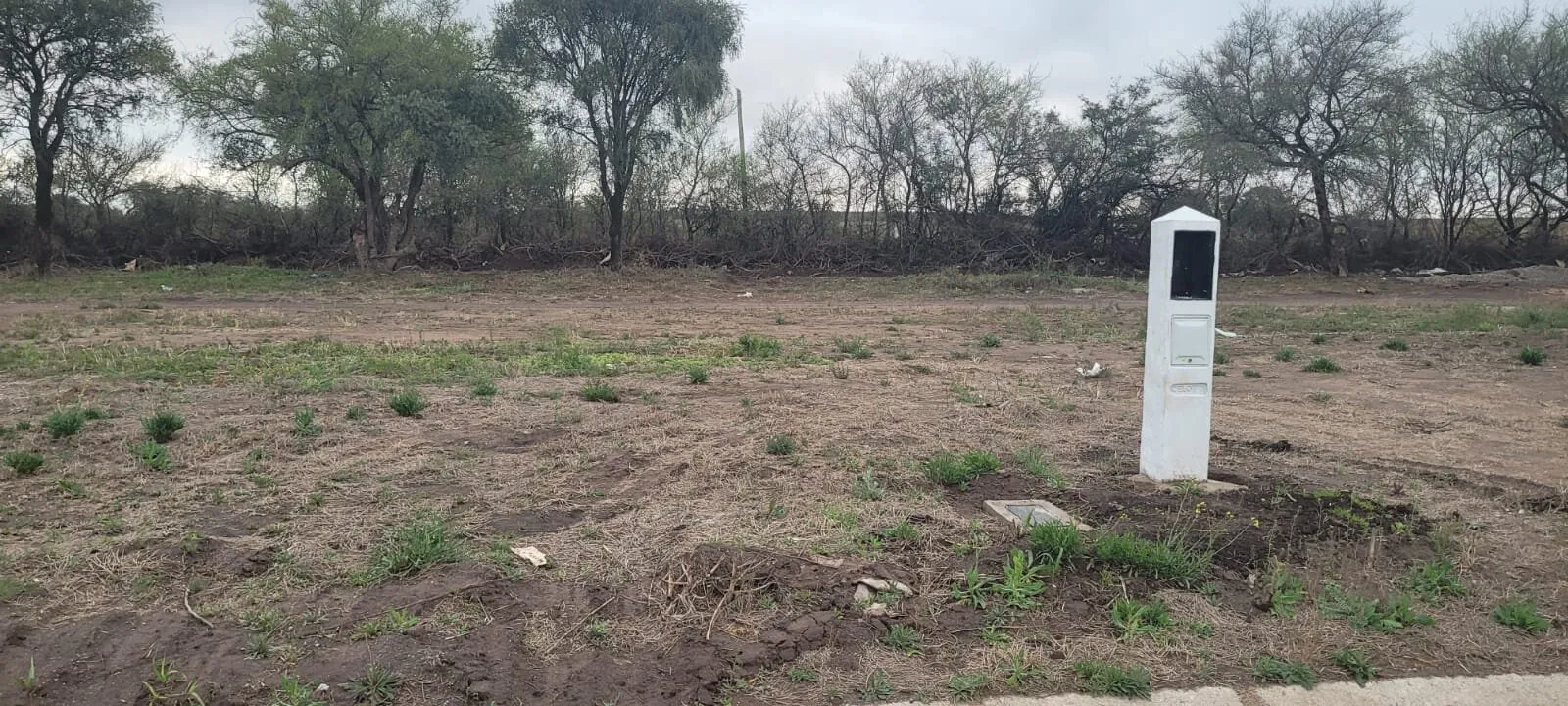 LIQUIDO TERRENO DOCTA PARQUE MALAGUEÑO