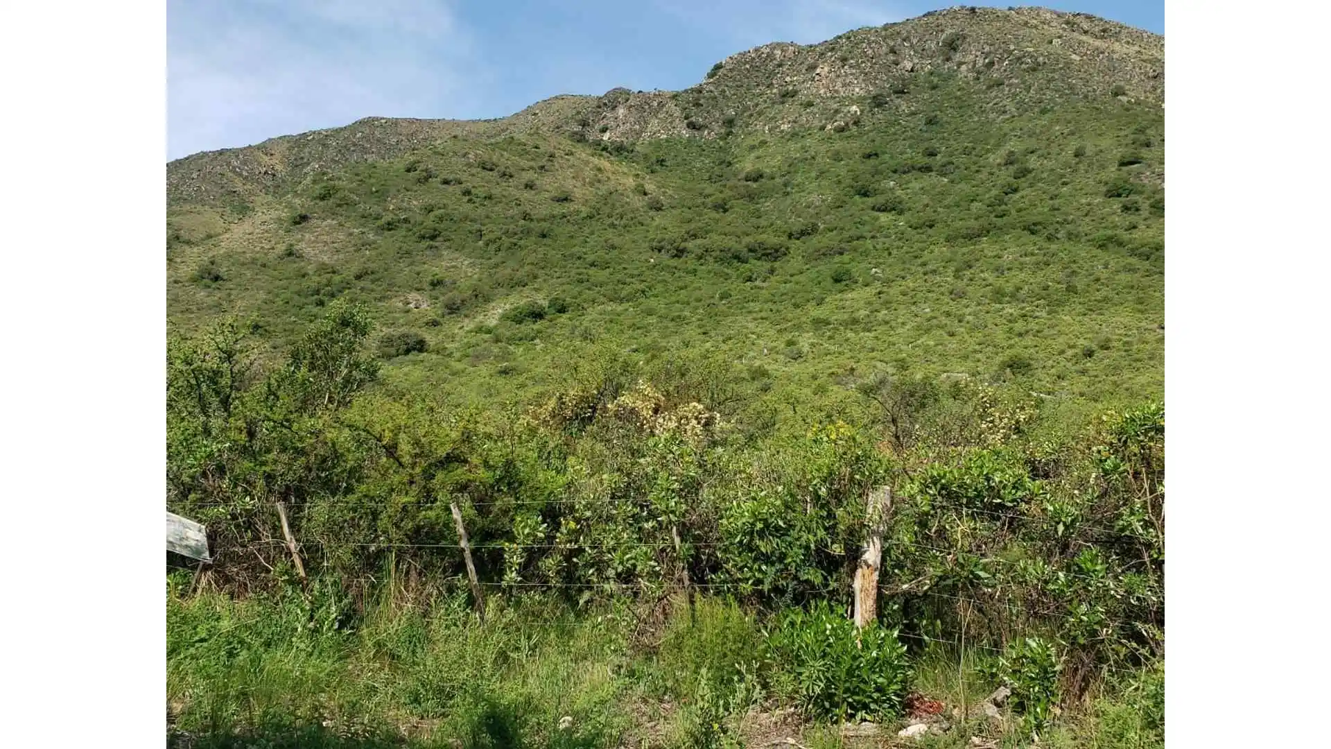 Fracción 5.000 mts en venta en Villa Elena