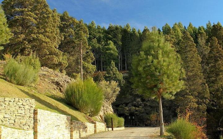 Terreno · 2064m²