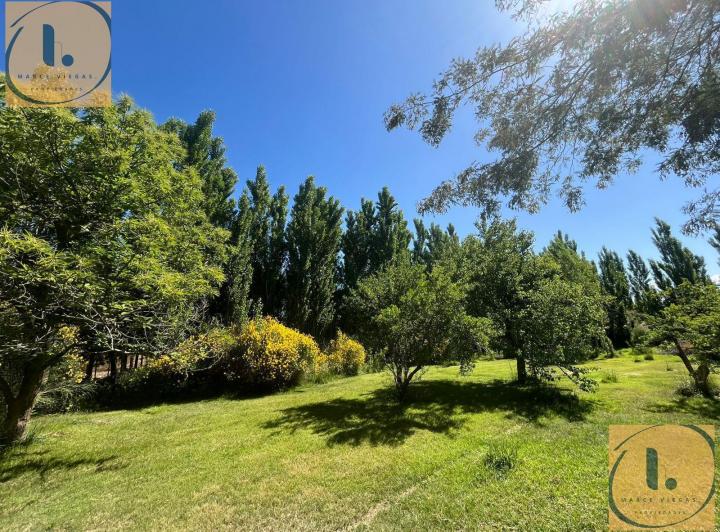 Campo · 333m²