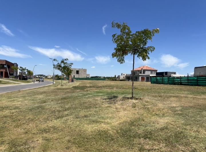 Terreno · 645m²